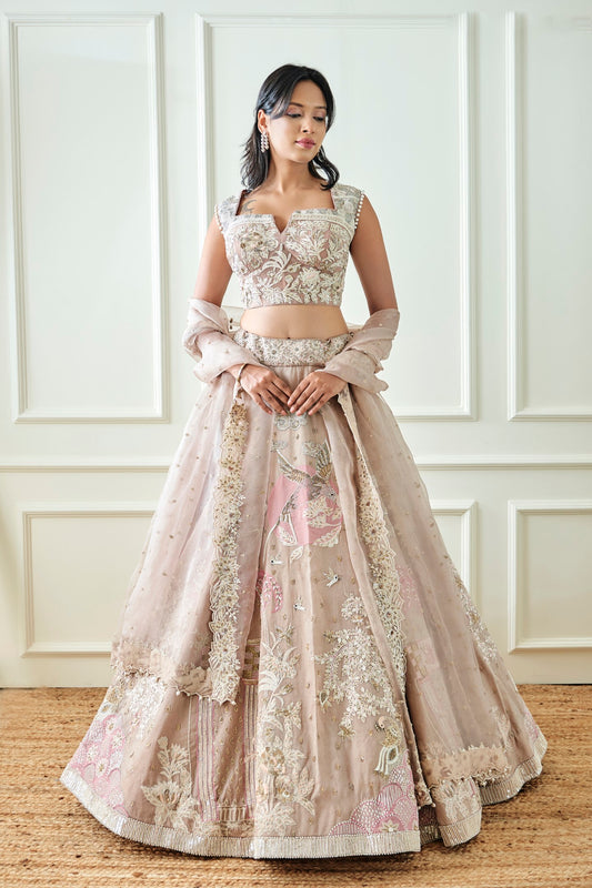 Organza Beige Lehenga Set