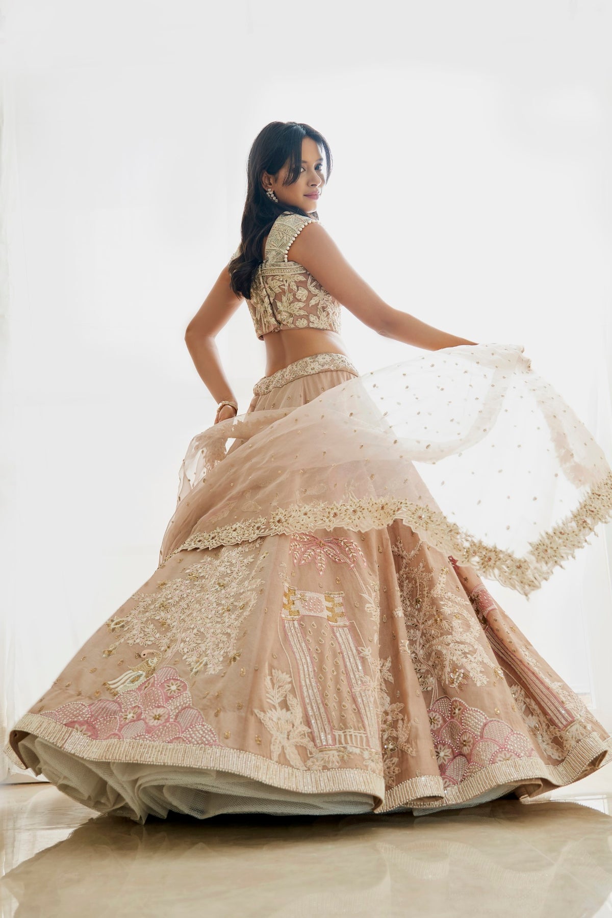 Organza Beige Lehenga Set