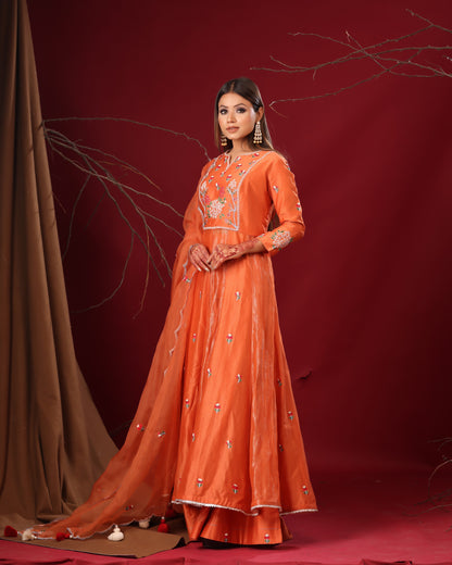 Rust anarkali