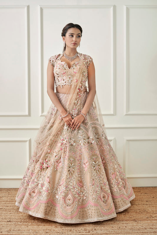 Beige Organza Lehenga Set