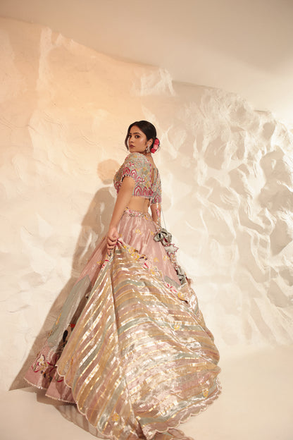 Muti-Color Lehenga Set