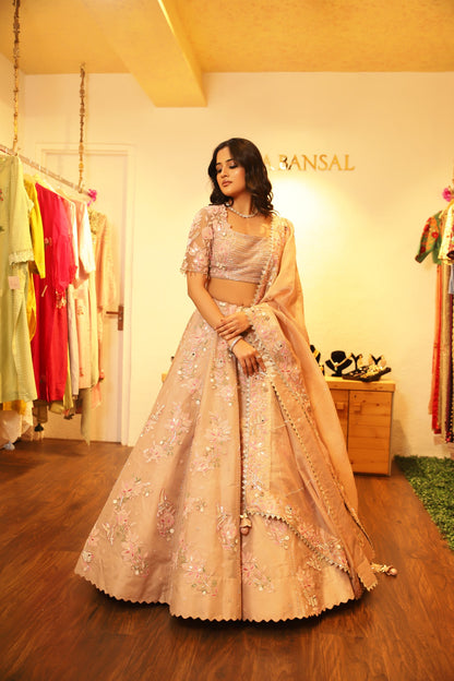 Beige applique lehenga set