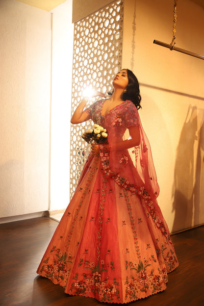 Pink panelled lehenga