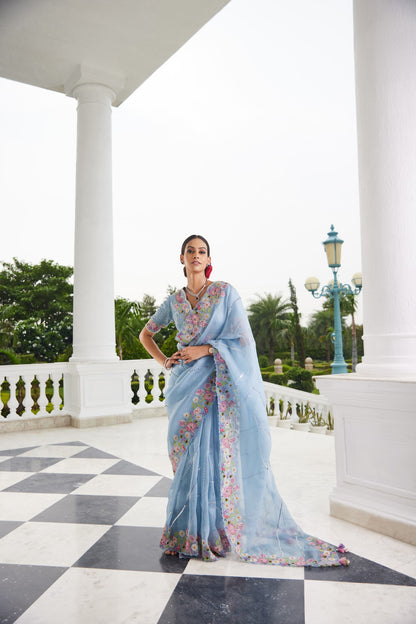 Organza Saree