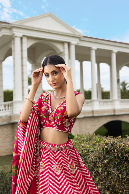 Paithani Print Lehenga Set