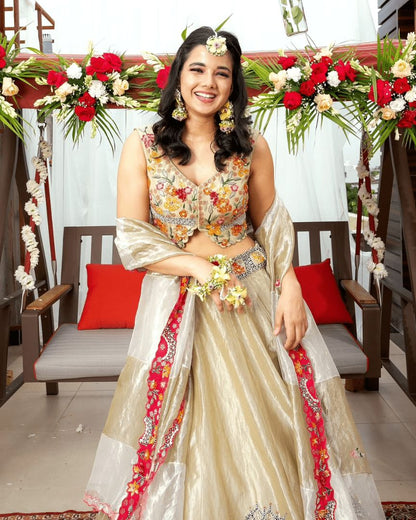 Pista green tissue lehenga set